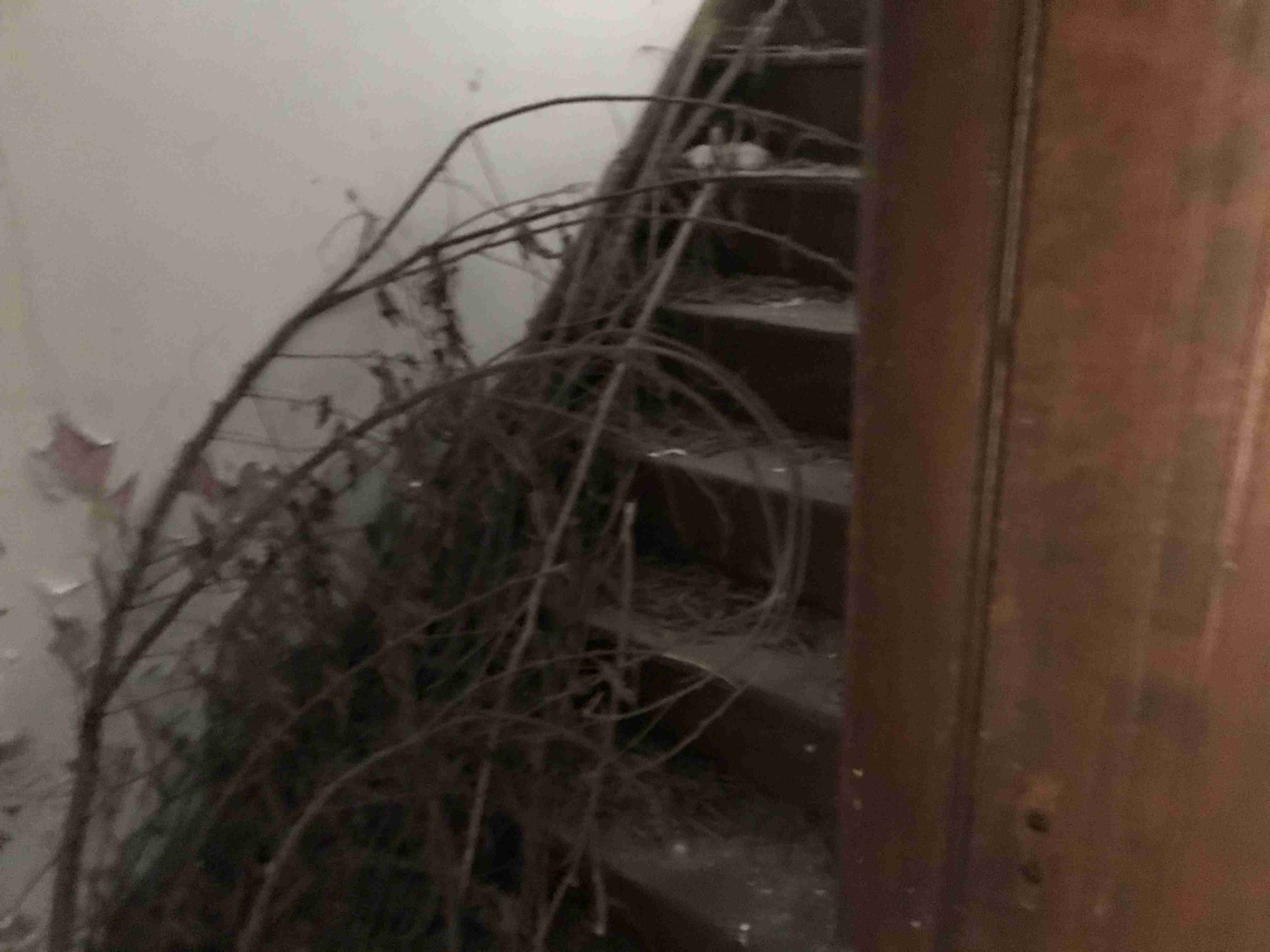 Photo Sep 10, 2 11 08 PM.jpg